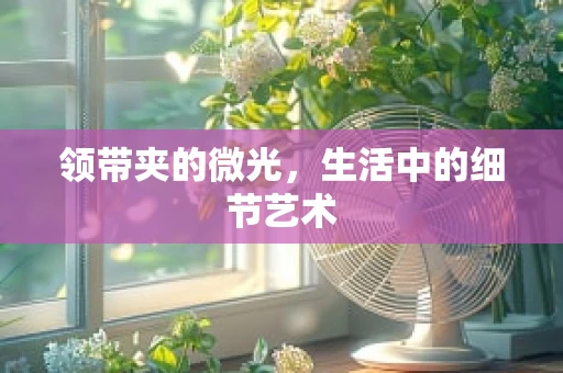 领带夹的微光，生活中的细节艺术