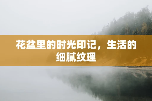 花盆里的时光印记，生活的细腻纹理