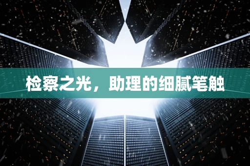检察之光，助理的细腻笔触