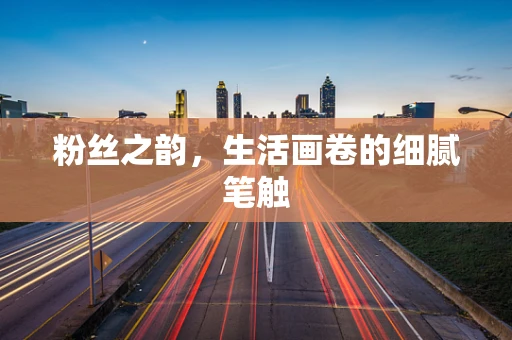粉丝之韵，生活画卷的细腻笔触