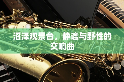 沼泽观景台，静谧与野性的交响曲