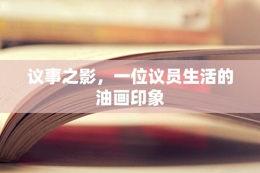 议事之影，一位议员生活的油画印象