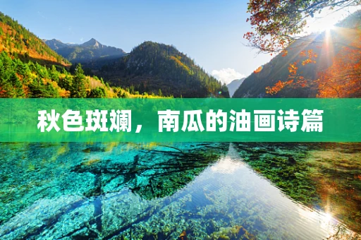 秋色斑斓，南瓜的油画诗篇