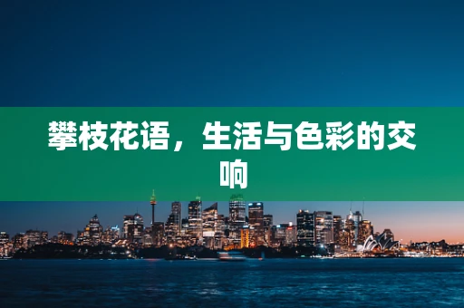 攀枝花语，生活与色彩的交响