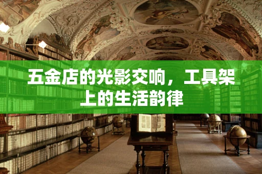 五金店的光影交响，工具架上的生活韵律