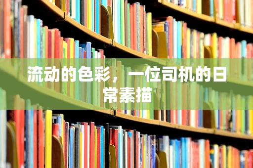 流动的色彩，一位司机的日常素描