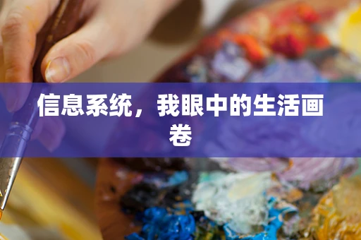 信息系统，我眼中的生活画卷