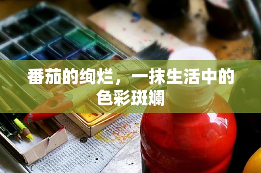 番茄的绚烂，一抹生活中的色彩斑斓