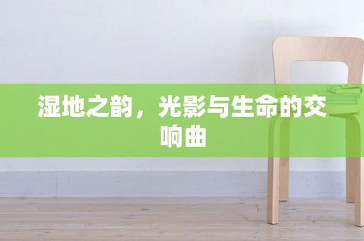 湿地之韵，光影与生命的交响曲