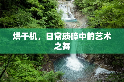 烘干机，日常琐碎中的艺术之舞
