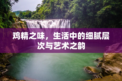 鸡精之味，生活中的细腻层次与艺术之韵
