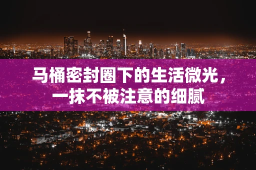 马桶密封圈下的生活微光，一抹不被注意的细腻