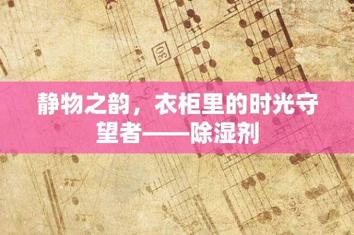 静物之韵，衣柜里的时光守望者——除湿剂