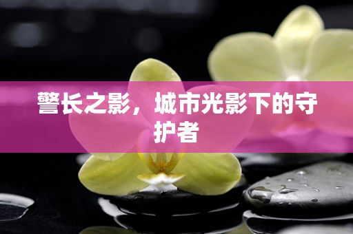 警长之影，城市光影下的守护者