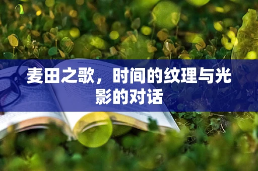 麦田之歌，时间的纹理与光影的对话