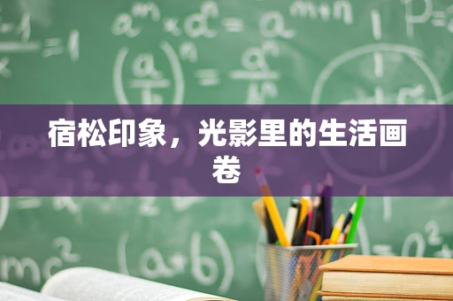 宿松印象，光影里的生活画卷