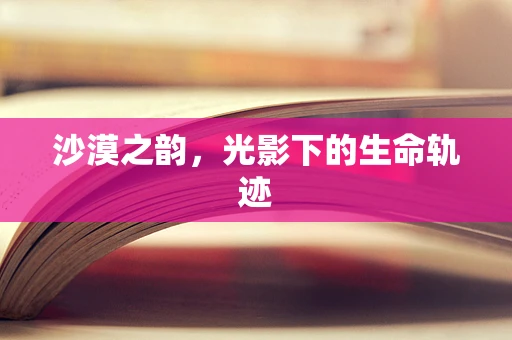 沙漠之韵，光影下的生命轨迹
