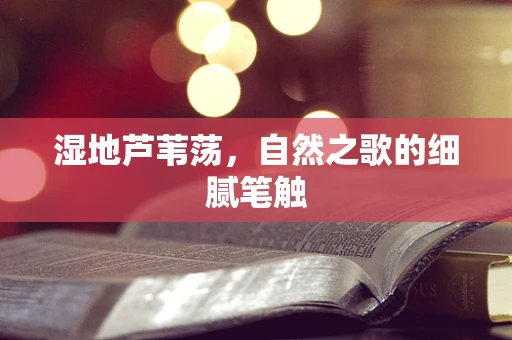 湿地芦苇荡，自然之歌的细腻笔触