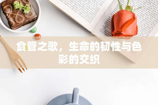 食管之歌，生命的韧性与色彩的交织