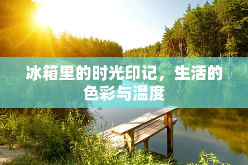冰箱里的时光印记，生活的色彩与温度