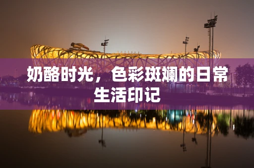 奶酪时光，色彩斑斓的日常生活印记