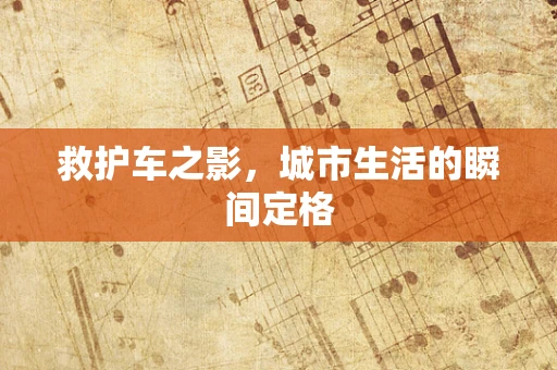 救护车之影，城市生活的瞬间定格