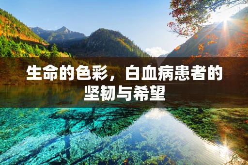 生命的色彩，白血病患者的坚韧与希望