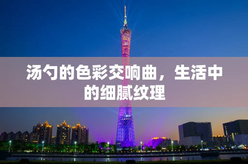 汤勺的色彩交响曲，生活中的细腻纹理