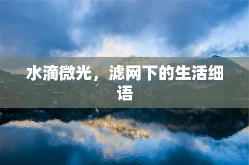 水滴微光，滤网下的生活细语