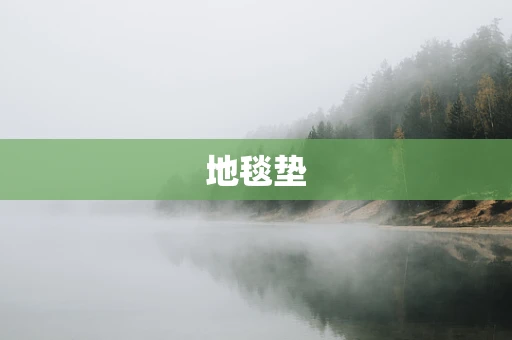 地毯垫