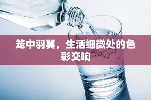 笼中羽翼，生活细微处的色彩交响