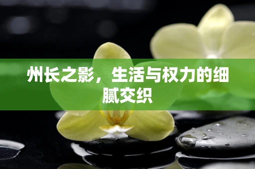 州长之影，生活与权力的细腻交织