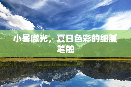 小暑微光，夏日色彩的细腻笔触