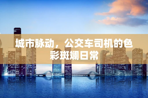 城市脉动，公交车司机的色彩斑斓日常