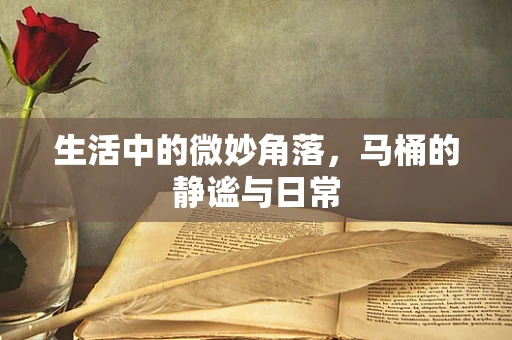 生活中的微妙角落，马桶的静谧与日常
