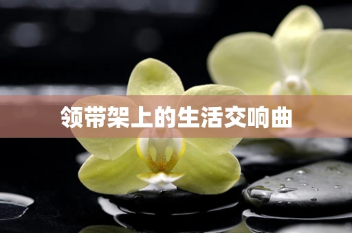 领带架上的生活交响曲