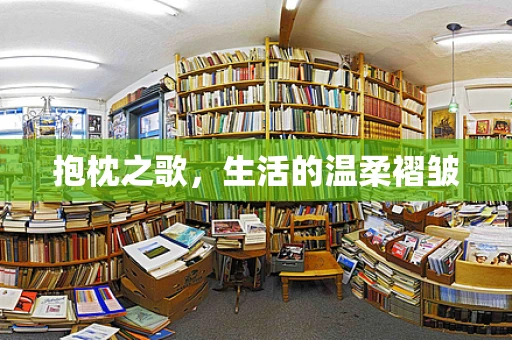 抱枕之歌，生活的温柔褶皱