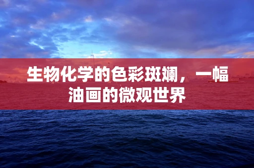 生物化学的色彩斑斓，一幅油画的微观世界
