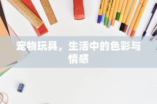 宠物玩具，生活中的色彩与情感
