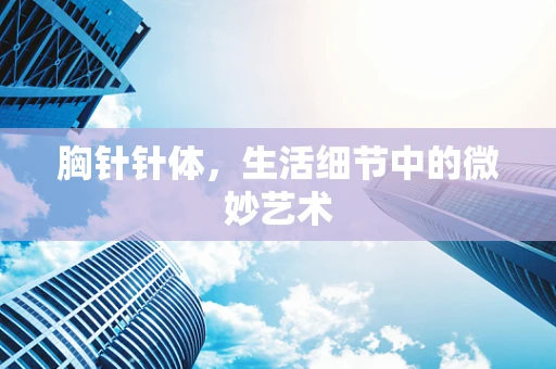 胸针针体，生活细节中的微妙艺术