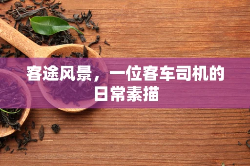 客途风景，一位客车司机的日常素描
