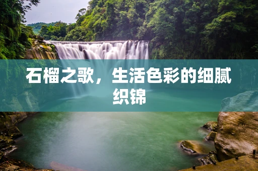 石榴之歌，生活色彩的细腻织锦