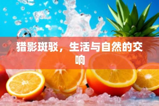 猎影斑驳，生活与自然的交响