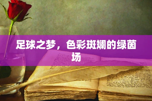 足球之梦，色彩斑斓的绿茵场