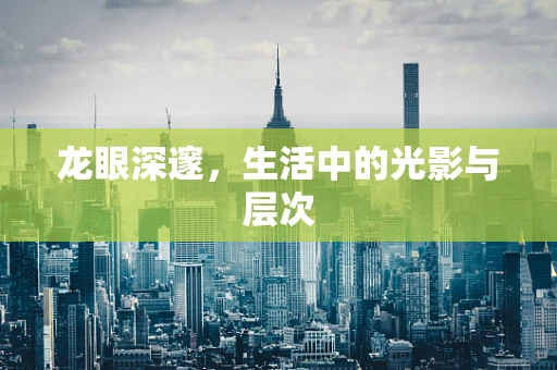 龙眼深邃，生活中的光影与层次