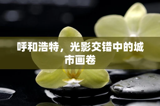 呼和浩特，光影交错中的城市画卷