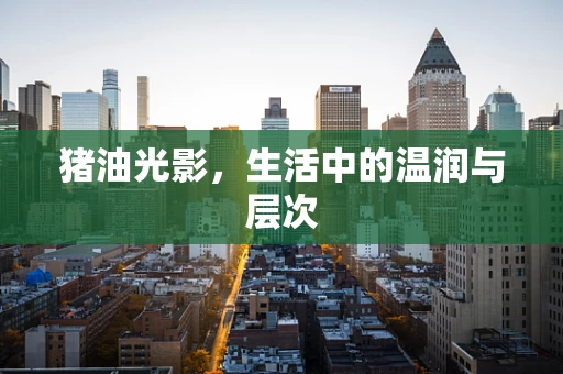 猪油光影，生活中的温润与层次