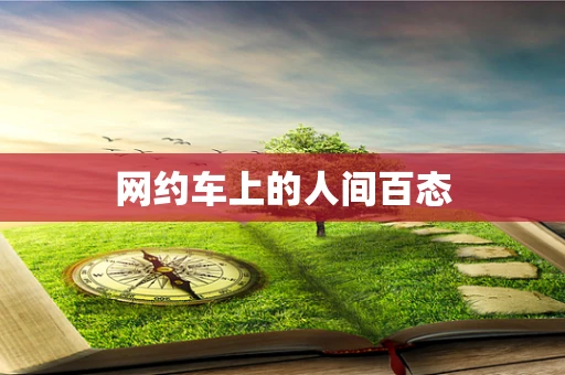 网约车上的人间百态