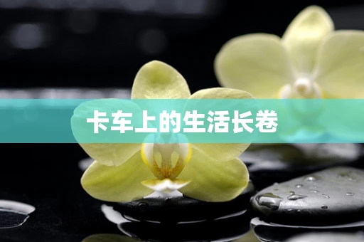 卡车上的生活长卷