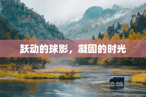跃动的球影，凝固的时光